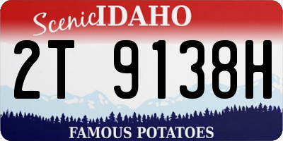 ID license plate 2T9138H