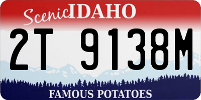 ID license plate 2T9138M
