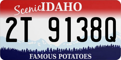 ID license plate 2T9138Q