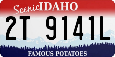 ID license plate 2T9141L