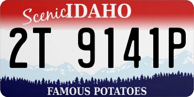 ID license plate 2T9141P