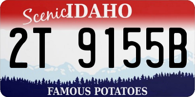 ID license plate 2T9155B
