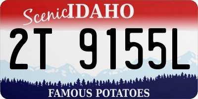ID license plate 2T9155L