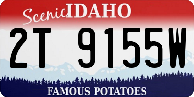ID license plate 2T9155W