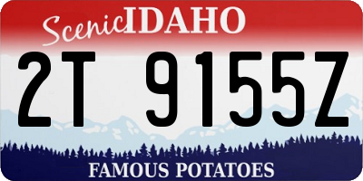 ID license plate 2T9155Z