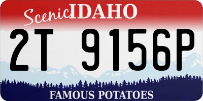 ID license plate 2T9156P