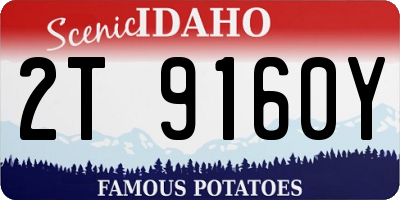 ID license plate 2T9160Y