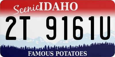 ID license plate 2T9161U
