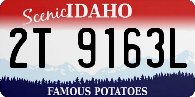 ID license plate 2T9163L