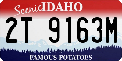ID license plate 2T9163M