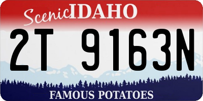 ID license plate 2T9163N