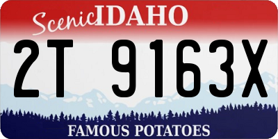 ID license plate 2T9163X
