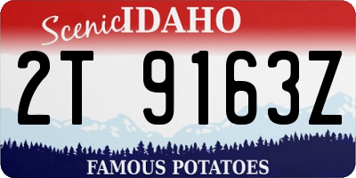 ID license plate 2T9163Z