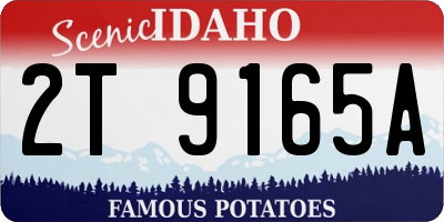 ID license plate 2T9165A