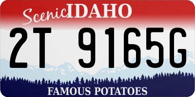 ID license plate 2T9165G