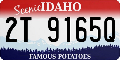 ID license plate 2T9165Q