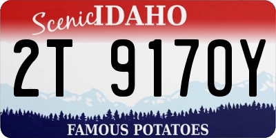 ID license plate 2T9170Y