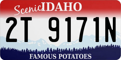 ID license plate 2T9171N