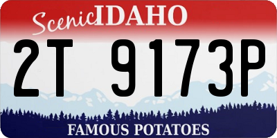 ID license plate 2T9173P