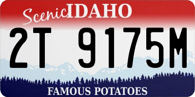 ID license plate 2T9175M