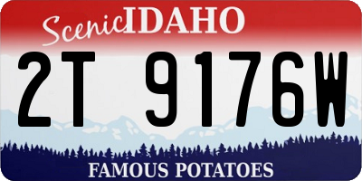 ID license plate 2T9176W