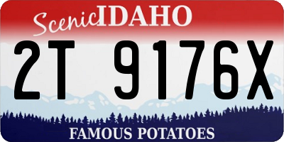 ID license plate 2T9176X