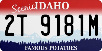 ID license plate 2T9181M