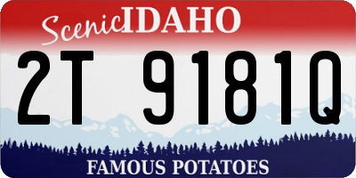ID license plate 2T9181Q
