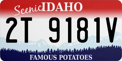 ID license plate 2T9181V