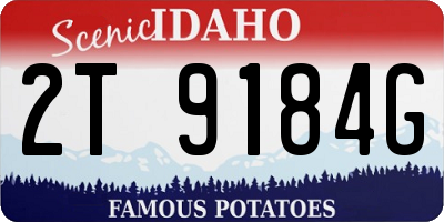 ID license plate 2T9184G