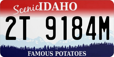 ID license plate 2T9184M