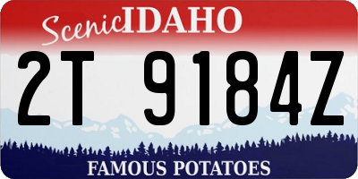 ID license plate 2T9184Z