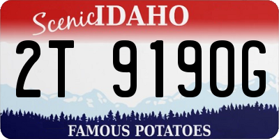 ID license plate 2T9190G