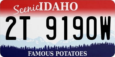 ID license plate 2T9190W