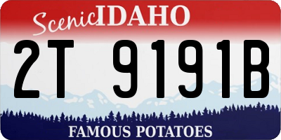 ID license plate 2T9191B