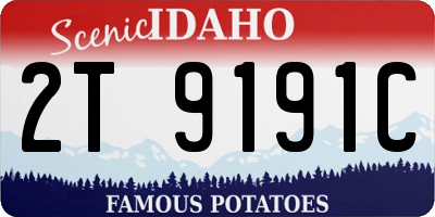 ID license plate 2T9191C