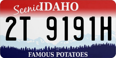 ID license plate 2T9191H
