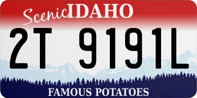 ID license plate 2T9191L