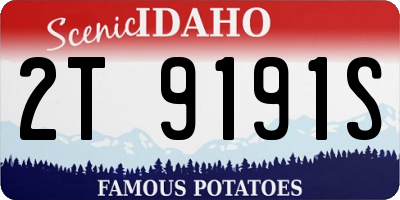 ID license plate 2T9191S
