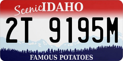 ID license plate 2T9195M