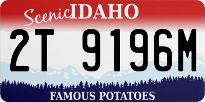 ID license plate 2T9196M