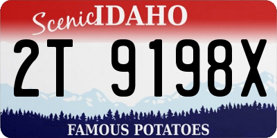 ID license plate 2T9198X