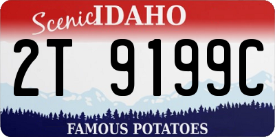 ID license plate 2T9199C
