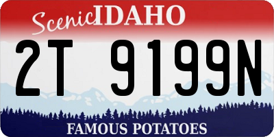 ID license plate 2T9199N