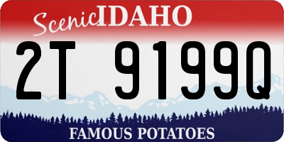 ID license plate 2T9199Q