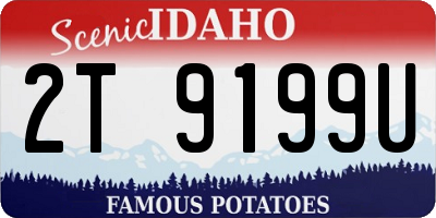ID license plate 2T9199U