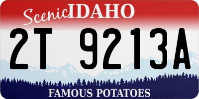 ID license plate 2T9213A