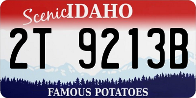 ID license plate 2T9213B