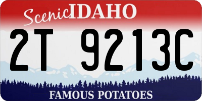 ID license plate 2T9213C
