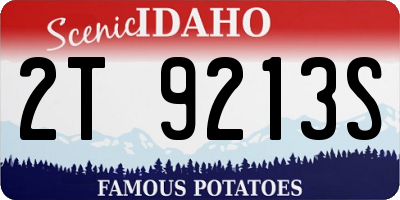ID license plate 2T9213S